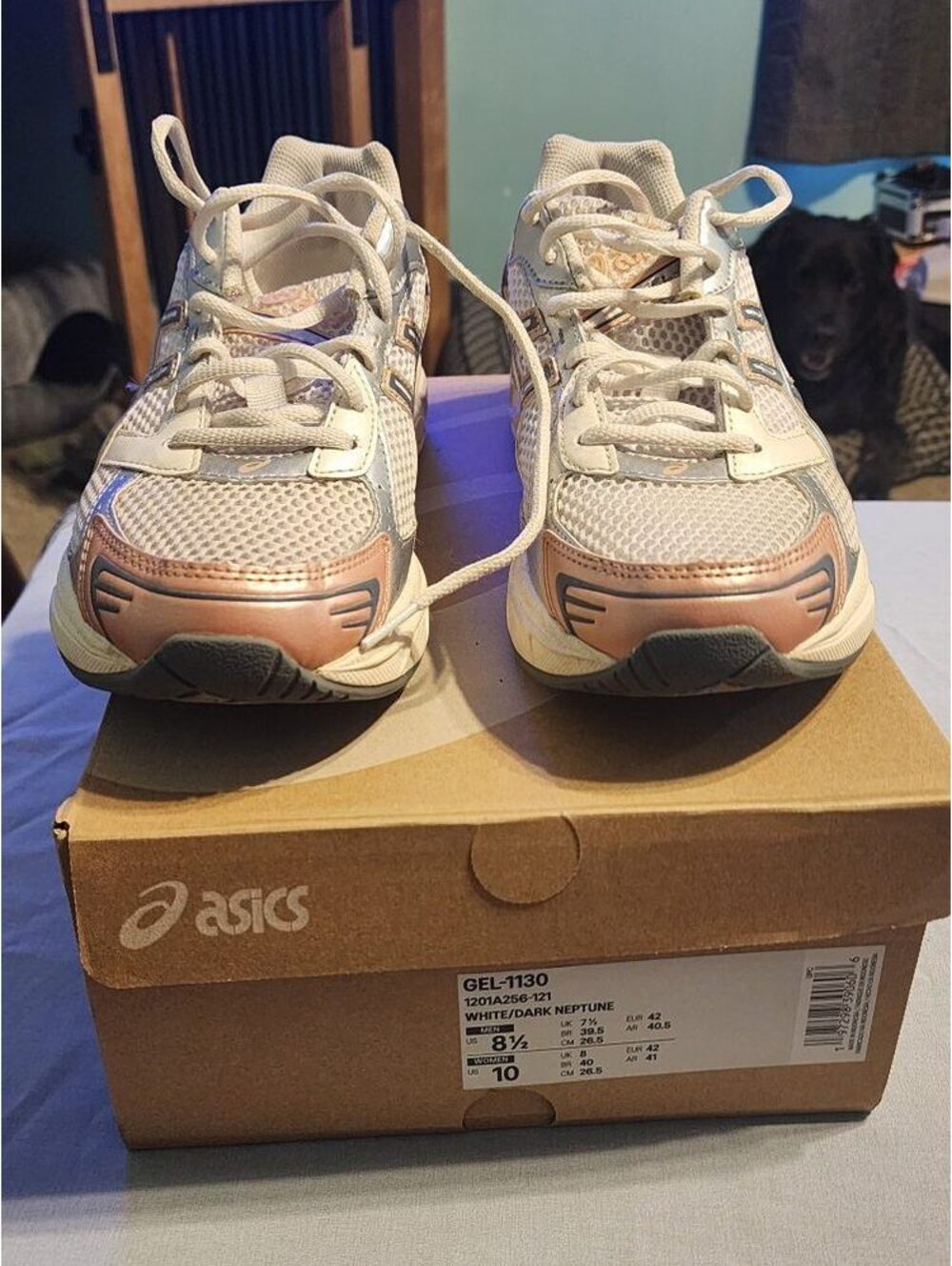 Asics Running Shoes